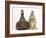 Chocolate Muscovy Duck and Netherland Dwarf-Cross Rabbit-Mark Taylor-Framed Photographic Print