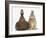 Chocolate Muscovy Duck and Netherland Dwarf-Cross Rabbit-Mark Taylor-Framed Photographic Print