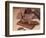 Chocolate Nutrition Bar with Dark Chocolate Filling-Chris Rogers-Framed Photographic Print