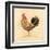 Chocolate Plumage Detail-Chad Barrett-Framed Art Print