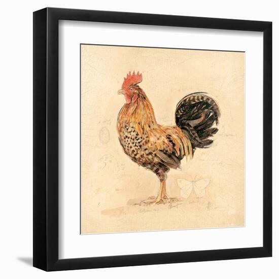 Chocolate Plumage Detail-Chad Barrett-Framed Art Print