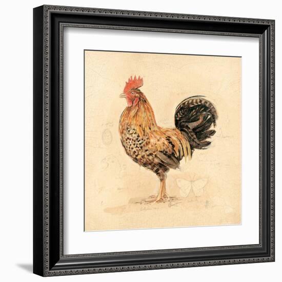 Chocolate Plumage Detail-Chad Barrett-Framed Art Print