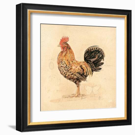 Chocolate Plumage Detail-Chad Barrett-Framed Art Print