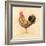 Chocolate Plumage Detail-Chad Barrett-Framed Art Print