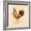 Chocolate Plumage Detail-Chad Barrett-Framed Art Print