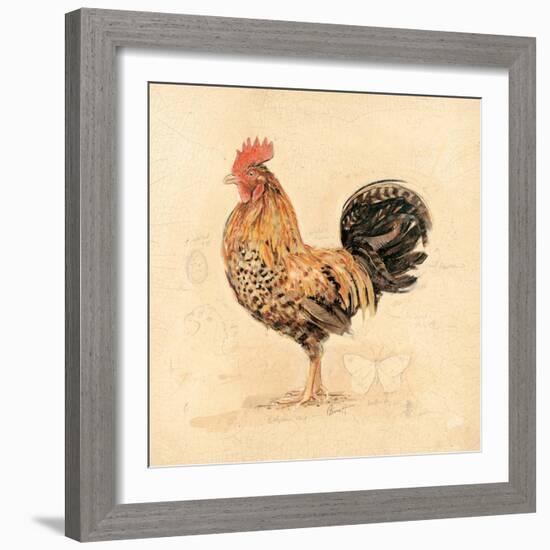 Chocolate Plumage Detail-Chad Barrett-Framed Art Print