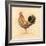 Chocolate Plumage Detail-Chad Barrett-Framed Art Print