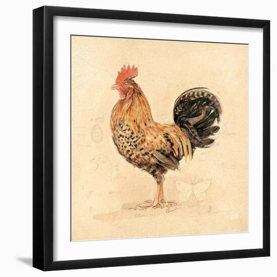 Chocolate Plumage Detail-Chad Barrett-Framed Art Print