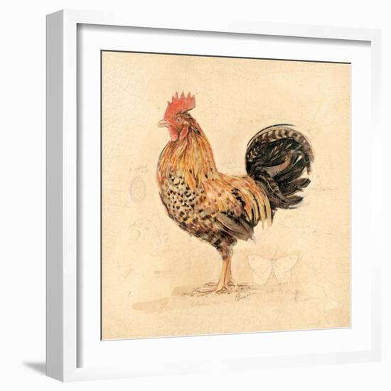 Chocolate Plumage Detail-Chad Barrett-Framed Art Print