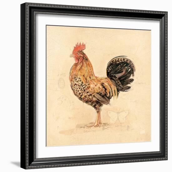 Chocolate Plumage Detail-Chad Barrett-Framed Art Print