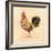 Chocolate Plumage Detail-Chad Barrett-Framed Art Print