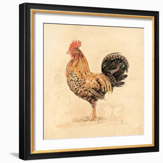 Chocolate Plumage Detail-Chad Barrett-Framed Art Print