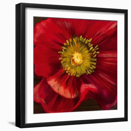 Chocolate Poppy I-Dysart-Framed Giclee Print