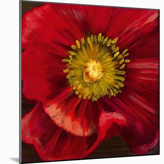 Chocolate Poppy I-Dysart-Mounted Giclee Print