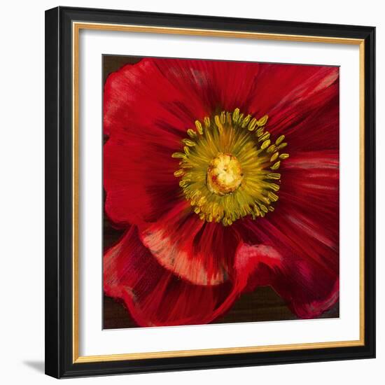 Chocolate Poppy I-Dysart-Framed Giclee Print