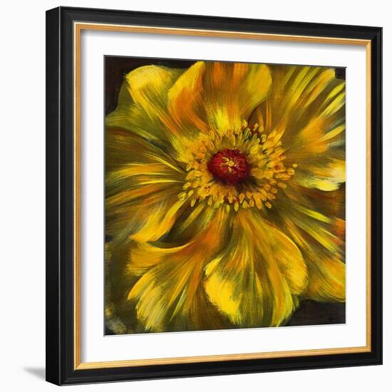 Chocolate Poppy II-Dysart-Framed Giclee Print