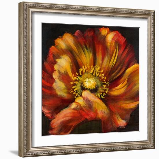 Chocolate Poppy III-Dysart-Framed Giclee Print