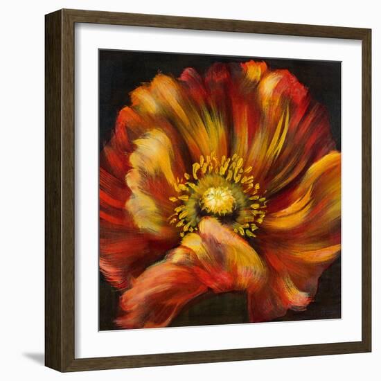 Chocolate Poppy III-Dysart-Framed Giclee Print