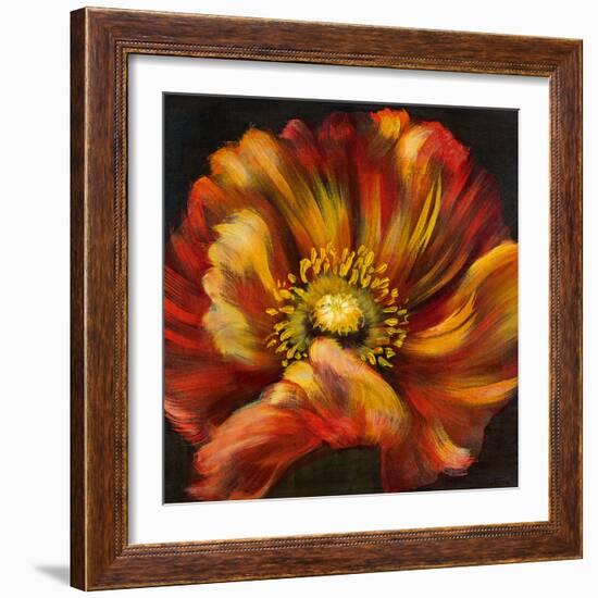 Chocolate Poppy III-Dysart-Framed Giclee Print