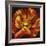 Chocolate Poppy III-Dysart-Framed Giclee Print