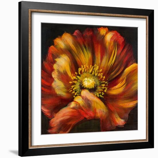 Chocolate Poppy III-Dysart-Framed Giclee Print