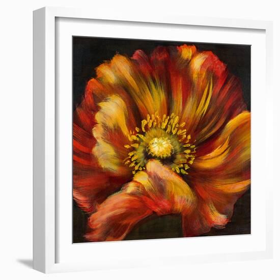 Chocolate Poppy III-Dysart-Framed Giclee Print