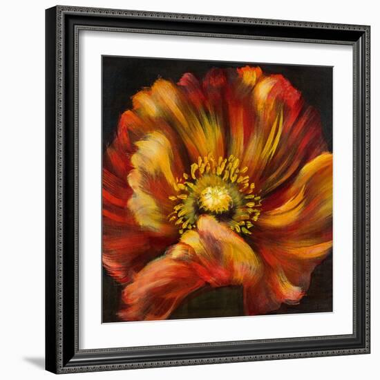 Chocolate Poppy III-Dysart-Framed Giclee Print