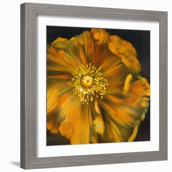 Chocolate Poppy IV-Dysart-Framed Giclee Print