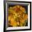 Chocolate Poppy IV-Dysart-Framed Giclee Print