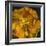 Chocolate Poppy IV-Dysart-Framed Giclee Print