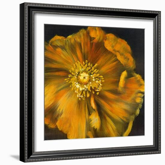 Chocolate Poppy IV-Dysart-Framed Giclee Print