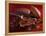 Chocolate Sauce, Cocoa Powder, Cocoa Beans and Cacao Fruits-Karl Newedel-Framed Premier Image Canvas