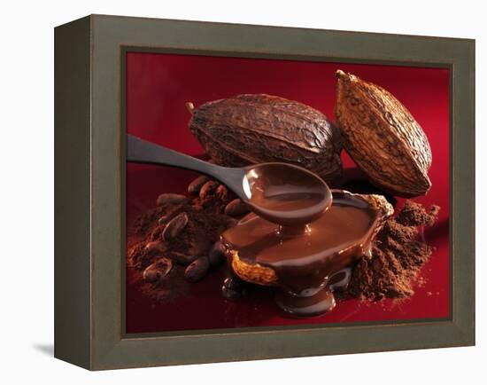 Chocolate Sauce, Cocoa Powder, Cocoa Beans and Cacao Fruits-Karl Newedel-Framed Premier Image Canvas