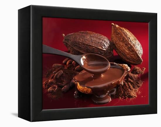 Chocolate Sauce, Cocoa Powder, Cocoa Beans and Cacao Fruits-Karl Newedel-Framed Premier Image Canvas