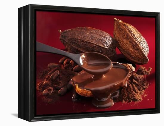 Chocolate Sauce, Cocoa Powder, Cocoa Beans and Cacao Fruits-Karl Newedel-Framed Premier Image Canvas