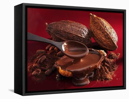 Chocolate Sauce, Cocoa Powder, Cocoa Beans and Cacao Fruits-Karl Newedel-Framed Premier Image Canvas