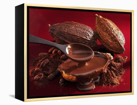 Chocolate Sauce, Cocoa Powder, Cocoa Beans and Cacao Fruits-Karl Newedel-Framed Premier Image Canvas