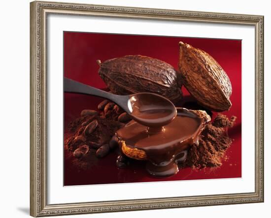 Chocolate Sauce, Cocoa Powder, Cocoa Beans and Cacao Fruits-Karl Newedel-Framed Photographic Print