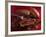 Chocolate Sauce, Cocoa Powder, Cocoa Beans and Cacao Fruits-Karl Newedel-Framed Photographic Print