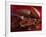 Chocolate Sauce, Cocoa Powder, Cocoa Beans and Cacao Fruits-Karl Newedel-Framed Photographic Print