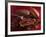 Chocolate Sauce, Cocoa Powder, Cocoa Beans and Cacao Fruits-Karl Newedel-Framed Photographic Print