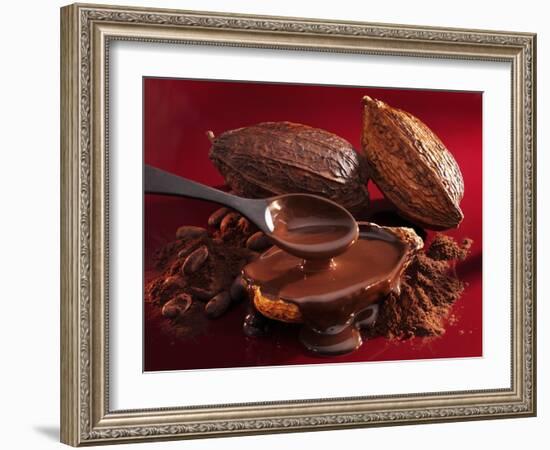 Chocolate Sauce, Cocoa Powder, Cocoa Beans and Cacao Fruits-Karl Newedel-Framed Photographic Print