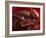 Chocolate Sauce, Cocoa Powder, Cocoa Beans and Cacao Fruits-Karl Newedel-Framed Photographic Print