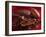 Chocolate Sauce, Cocoa Powder, Cocoa Beans and Cacao Fruits-Karl Newedel-Framed Photographic Print