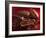 Chocolate Sauce, Cocoa Powder, Cocoa Beans and Cacao Fruits-Karl Newedel-Framed Photographic Print