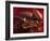 Chocolate Sauce, Cocoa Powder, Cocoa Beans and Cacao Fruits-Karl Newedel-Framed Photographic Print