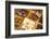 Chocolate Truffles in a Sweet Shop, Brussels, Belgium, Europe-Neil Farrin-Framed Photographic Print