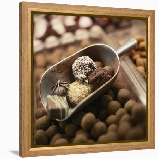 Chocolate Truffles-Joshua Dalsimer-Framed Premier Image Canvas