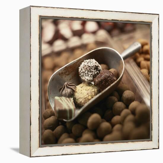 Chocolate Truffles-Joshua Dalsimer-Framed Premier Image Canvas