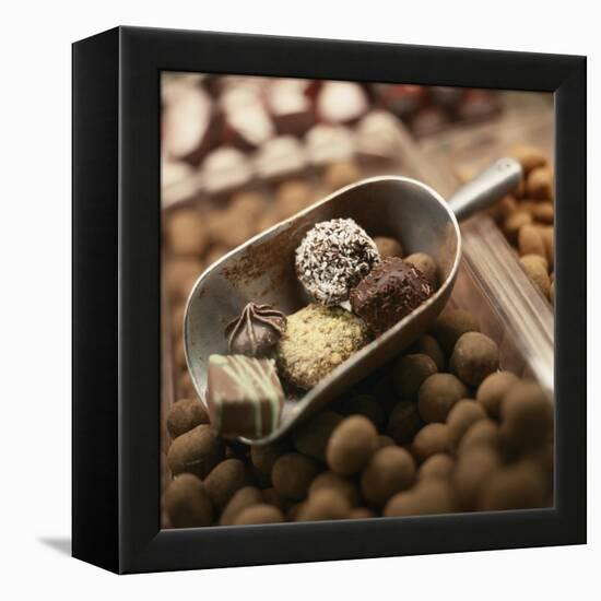 Chocolate Truffles-Joshua Dalsimer-Framed Premier Image Canvas